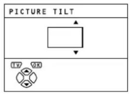PICTURE TILT TV OK