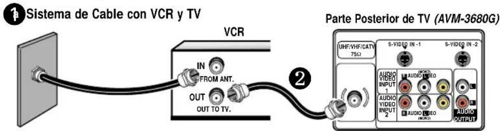 Sistema de Cable con VCR y TV VCR IN FROM ANT. OUT OUT TO TV. Parte Posterior de TV (AVM-3680G) UHF/VHF/CATV 75Ω S-VIDEO IN -1 S-VIDEO IN -2 AUDIO VIDEO INPUT 1 AUDIO VIDEO AUDIO VIDEO INPUT 2 AUDIO VIDEO AUDIO OUTPUT