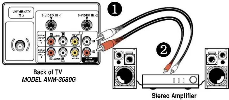 UHF/VHF/CATV 75Ω S-VIDEO IN -1 S-VIDEO IN -2 AUDIO VIDEO INPUT 1 AUDIO VIDEO INPUT 2 AUDIO VIDEO OUTPUT Back of TV MODEL AVM-3680G Stereo Amplifier