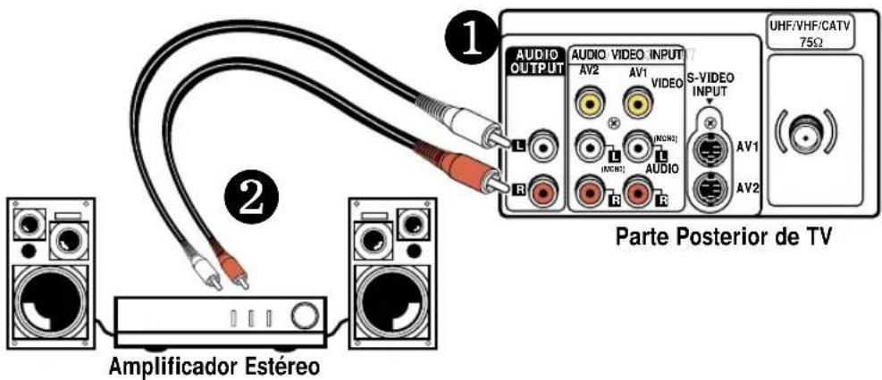 1 AUDIO OUTPUT AUDIO VIDEO INPUT AV2 AV1 VIDEO S-VIDEO INPUT L [MODI] L AUDIO R R R R UHF/VHF/CATV 75Ω Parte Posterior de TV 2 Amplificador Estéreo