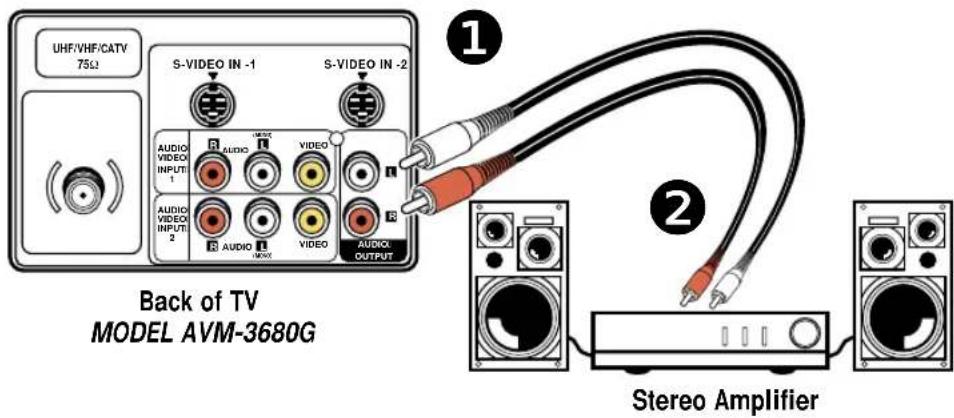 UHF/VHF/CATV 75Ω S-VIDEO IN -1 S-VIDEO IN -2 AUDIO VIDEO INPUT 1 AUDIO VIDEO INPUT 2 AUDIO VIDEO AUDIO OUTPUT Back of TV MODEL AVM-3680G Stereo Amplifier