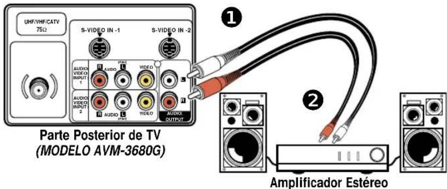 UHF/VHF/CATV 75Ω S-VIDEO IN -1 S-VIDEO IN -2 AUDIO VIDEO INPUT 1 AUDIO VIDEO INPUT 2 AUDIO L VIDEO AUDIO OUTPUT Parte Posterior de TV (MODELO AVM-3680G) Amplificador Estéreo