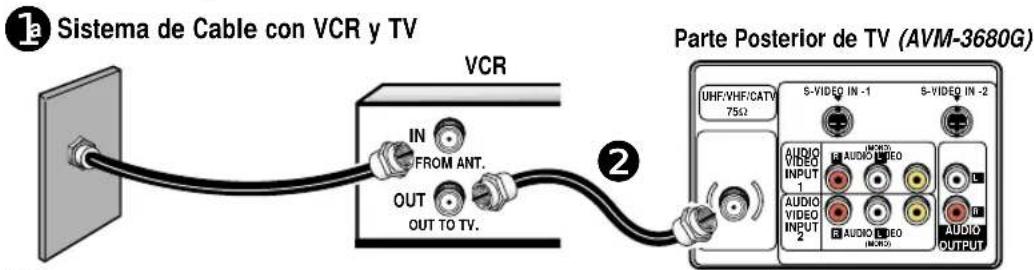 ① Sistema de Cable con VCR y TV VCR IN FROM ANT. OUT OUT TO TV. ② Parte Posterior de TV (AVM-3680G) UHF/VHF/CATV 75Ω S-VIDEO IN -1 S-VIDEO IN -2 AUDIO VIDEO INPUT 1 AUDIO VIDEO AUDIO VIDEO INPUT 2 AUDIO VIDEO INVOICE AUDIO OUTPUT