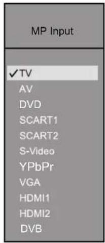 MP Input ✓TV AV DVD SCART1 SCART2 S-Video YPbPr VGA HDMI1 HDMI2 DVB