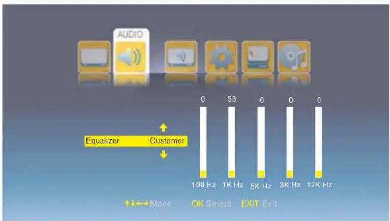 AUDIO Equalizer Customer 0 53 0 0 0 0 100 Hz 1K Hz 5K Hz 3K Hz 12K Hz ↑←→ Move OK Select EXIT Exit