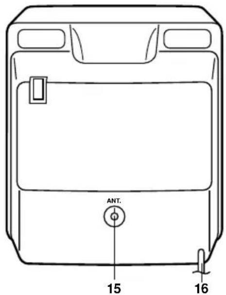 ANT. 15 16