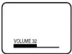 VOLUME 32