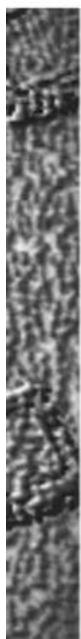 Ancient Chinese stone inscription with vertical classical text, likely a stele or inscription