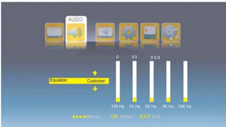 AUDIO Equalizer Customer 0 53 0 0 0 100 Hz 1K Hz 5K Hz 3K Hz 12K Hz Move OK Select EXIT Exit