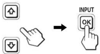 INPUT OK