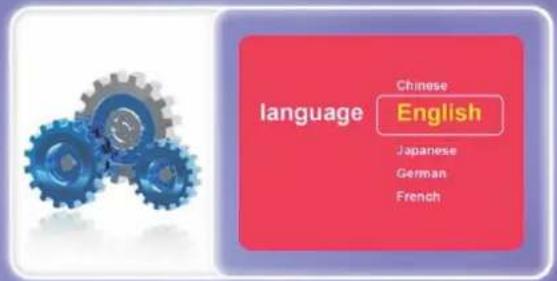language Chinese English Japanese German French
