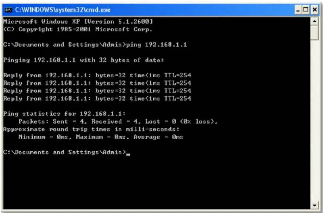 Phicomm FD-224 - 7) Then type ping 192.168.1.1, press Enter. - 1