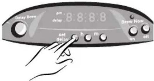 Delay Brew pm delay 8:8:8:8 Brew Now set delay h m an off