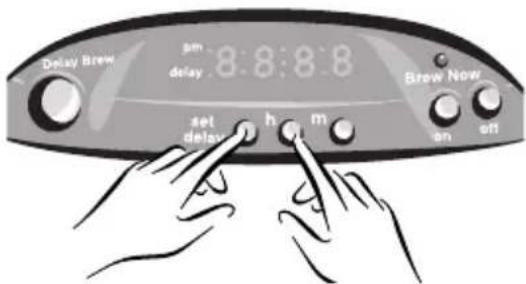Delay Brew pm delay 8:8:8:8 Brew Now set delay h m on off