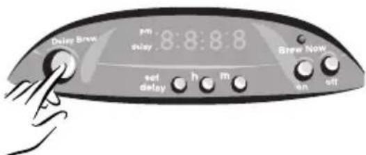Delay Brew pm selay 8:8:8:8 set delay h m Brew Now on off