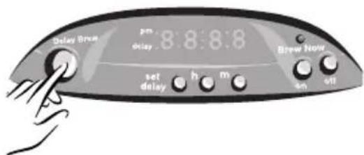Delay Brue pm delay 8:8:8:8 set delay h m e on off Brew Now