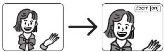 SYLVANIA 6719DB - Press the ZOOM button during playback. - 1