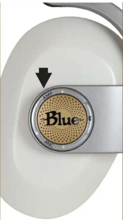 AMP Blue ANC