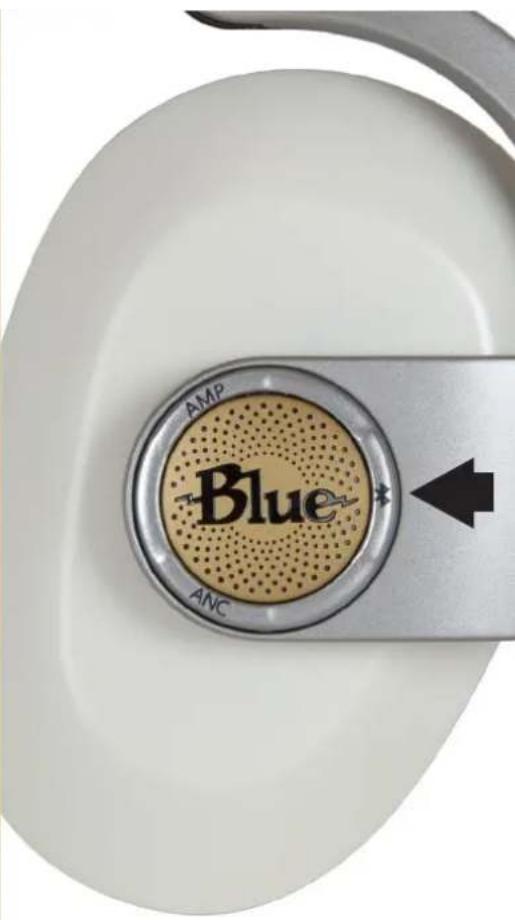 AMP Blue ANC