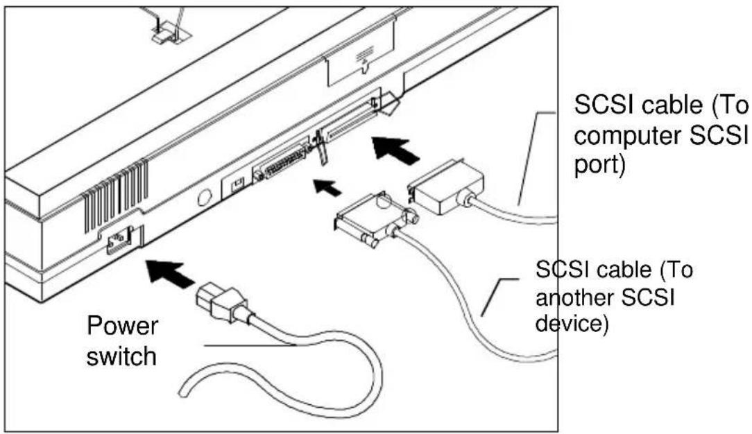 SCSI cable (To computer SCSI port) Power switch SCSI cable (To another SCSI device)
