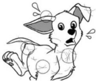 Bort BSS-1800N-Pet - Guidance in 4 steps for pets care & cleaning - 1