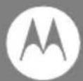 MOTOROLA L515CBT - 2