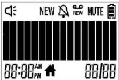 NEW NEW MUTE 00:00AM 88/88 PM
