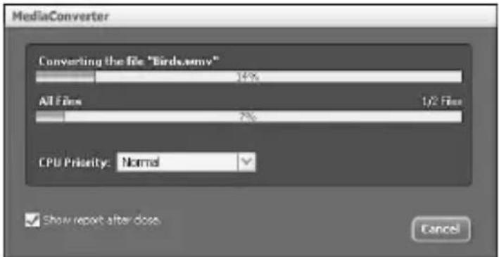 MediaConverter Converting the file "Birds.nmv" All Files 1/2 Files CPU Priority: Normal Show report after dose. Cancel