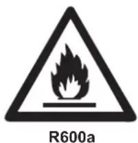 R600a