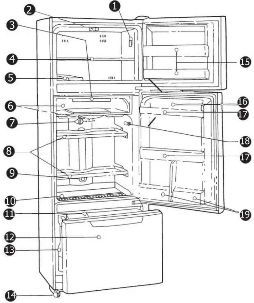 Labeled diagram of a refrigerator interior with numbered parts for identification