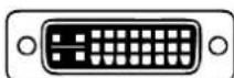 Ewent EW-110202-020-N-P - VIDEO - 2
