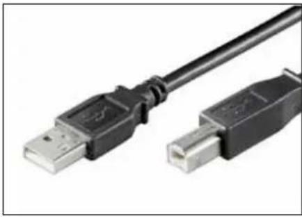 Ewent EW-110202-020-N-P - USB 2.0 Connection Cable - 1