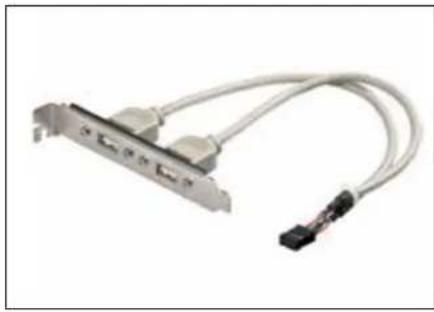 Ewent EW-110202-020-N-P - USB Slot Bracket - 1