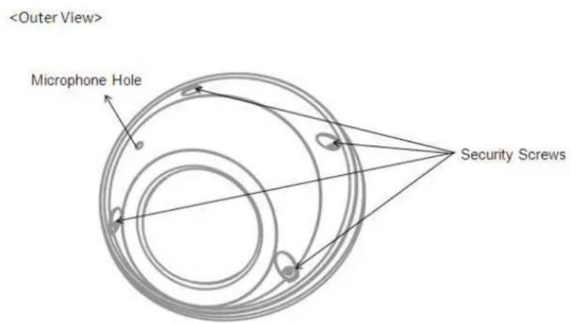 Microphone Hole Security Screws