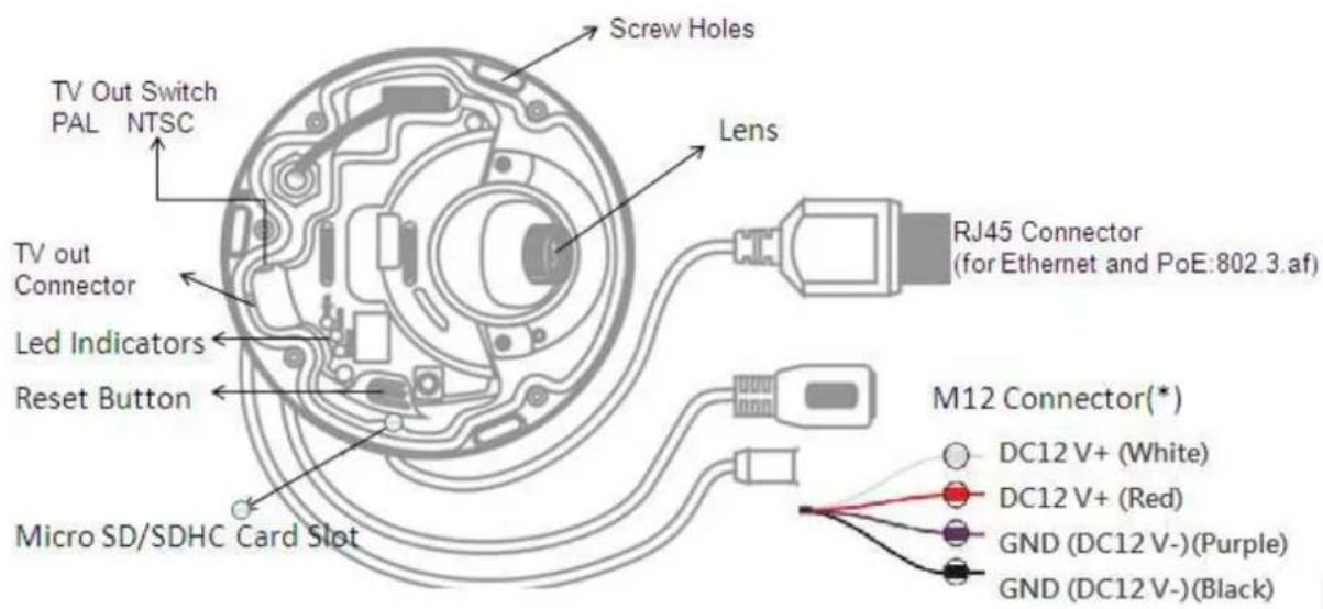 Screw Holes TV Out Switch PAL NTSC Lens TV out Connector LED Indicators Reset Button Micro SD/SDHC Card Slot RJ45 Connector (for Ethernet and PoE:802.3.af) M12 Connector(*) DC12 V+ (White) DC12 V+ (Red) GND (DC12 V-)(Purple) GND (DC12 V-)(Black)