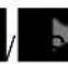 Brickcom OB-300NE STAR - Status Icons - 6