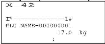 X-42 P----1# PLU NAME-000000001 17.0 kg :
