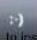 Allview P2 Alldro - Input - 2