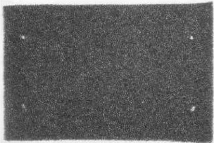 Crane EE-5064 - Level 5: Germicidal UV Light - 1