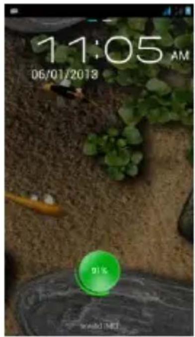 11:05 AM 06/01/2013 91%