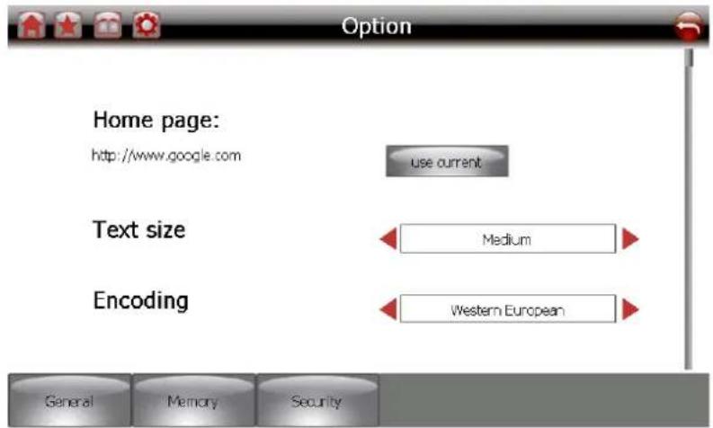 Option Home page: http://www.google.com use current Text size Medium Encoding Western European General Memory Security