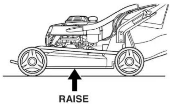 RAISE