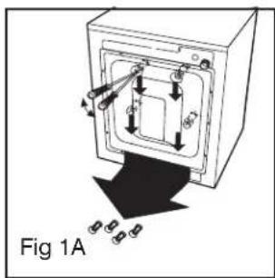 Fig 1A