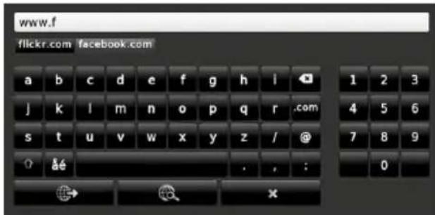 SEG 49SC7600 - Internet Browser - 4