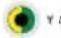 VESTEL 55FA8500 - (\*) MY BUTTON 1 &amp; MY BUTTON 2: - 5