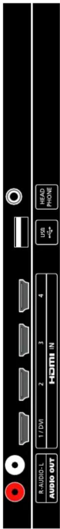 RCA LED42B45RQ - TV Jacks Explanation - 2