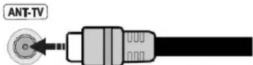 TELEFUNKEN STELLA55CUHDEV - Rear bottom side of the TV - 1