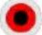 TELEFUNKEN STELLA55CUHDEV - (\*) MY BUTTON: - 7