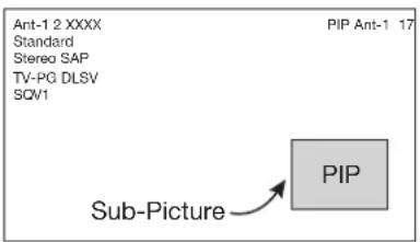 Ant-1 2 XXXX Standard Stereo SAP TV-PG DLSV SQV1 PIP Ant-1 17 Sub-Picture PIP