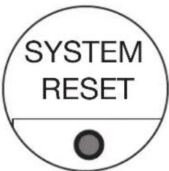 SYSTEM RESET